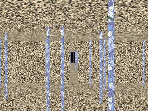Finding the virtual door: The target doorway was presented to test subjects through a prism that effectively shifted its location to one side. Subjects who maintained optic flow were able to adapt to the shift and find their way to the door far better than subjects without access to optic flow. Finding the virtual door: The target doorway was presented to test subjects through a prism that effectively shifted its location to one side. Subjects who maintained optic flow were able to adapt to the shift and find their way to the door far better than subjects without access to optic flow.