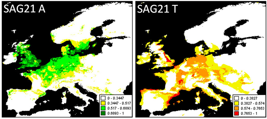 Climate, genome, and ‘home court advantage’: Southern variants of the water stress tolerance gene SAG21 (right panel) were associated with low fitness when grown outside of their home range in the northern Finnish site.