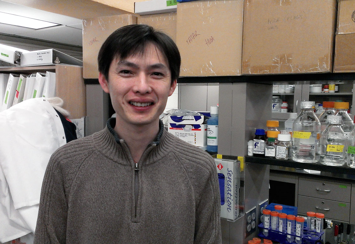 Lead author Hua Bai: “For now this research is in fruit flies, but we think it can be extended to human aging biology.” Credit: David Orenstein/Brown University Lead author Hua Bai: “For now this research is in fruit flies, but we think it can be extended to human aging biology.” Credit: David Orenstein/Brown University