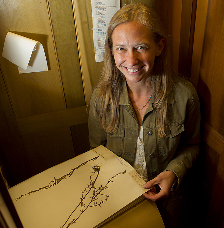 Erika Edwards: “Now that we have this increasingly detailed bird’s-eye view, we can start to become a more predictive science. ... In terms of genetic engineering we’re going to be able to provide some useful information to people who want to improve species, such as important crops.” Credit: Mike Cohea/Brown University Erika Edwards: “Now that we have this increasingly detailed bird’s-eye view, we can start to become a more predictive science. ... In terms of genetic engineering we’re going to be able to provide some useful information to people who want to improve species, such as important crops.” Credit: Mike Cohea/Brown University