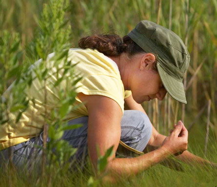 In the field: In the field: