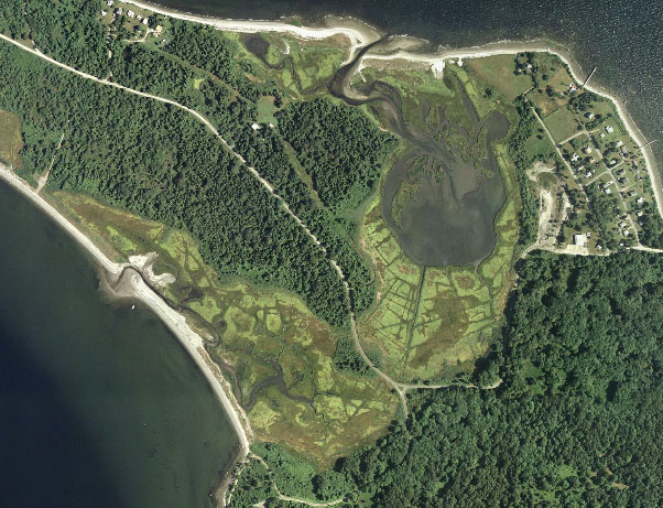 Salt marshes in danger: Aerial view of Nag Creek marsh, Prudence Island Salt marshes in danger: Aerial view of Nag Creek marsh, Prudence Island