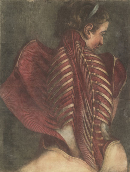 Mayan treasure: From Jacques-Fabien Gautier-Dagoty’s 1746 Myologie complete en couleur et grandeur naturelle (Starred Books Collection) Mayan treasure: From Jacques-Fabien Gautier-Dagoty’s 1746 Myologie complete en couleur et grandeur naturelle (Starred Books Collection)