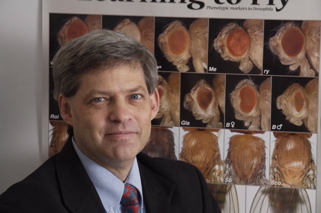 Stephen Helfand: “We’re trying to return the cell to a more youthful heterochromatin state with the hope that that will improve normal cell physiology and combat the loss of cellular function with age.” Stephen Helfand: “We’re trying to return the cell to a more youthful heterochromatin state with the hope that that will improve normal cell physiology and combat the loss of cellular function with age.”