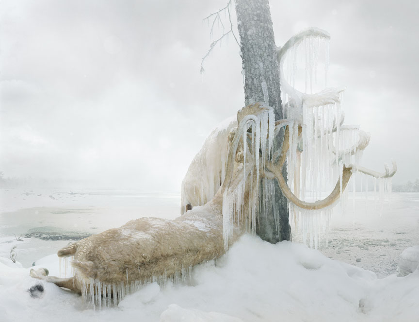 Simen Johan, Untitled #159 (2010): From the series Until the Kingdom ComesDigital C-print, 63 x 80 inches©Simen Johan, Courtesy Yossi Milo Gallery, New York Simen Johan, Untitled #159 (2010): From the series Until the Kingdom ComesDigital C-print, 63 x 80 inches©Simen Johan, Courtesy Yossi Milo Gallery, New York