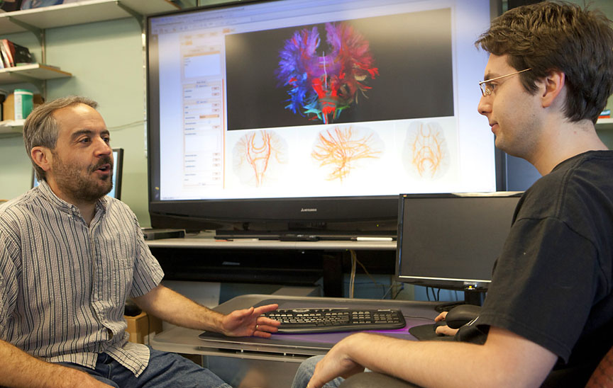 Making 2-D diagrams of 3-D complexities: David Laidlaw, left, and Radu Jianu worked with colleague Çağatay Demiralp to develop software tools that allow neuroscientists to examine 2-D and 3-D maps and images of the brain — and to share their work across the Web. Credit: Mike Cohea/Brown University Making 2-D diagrams of 3-D complexities: David Laidlaw, left, and Radu Jianu worked with colleague Çağatay Demiralp to develop software tools that allow neuroscientists to examine 2-D and 3-D maps and images of the brain — and to share their work across the Web. Credit: Mike Cohea/Brown University