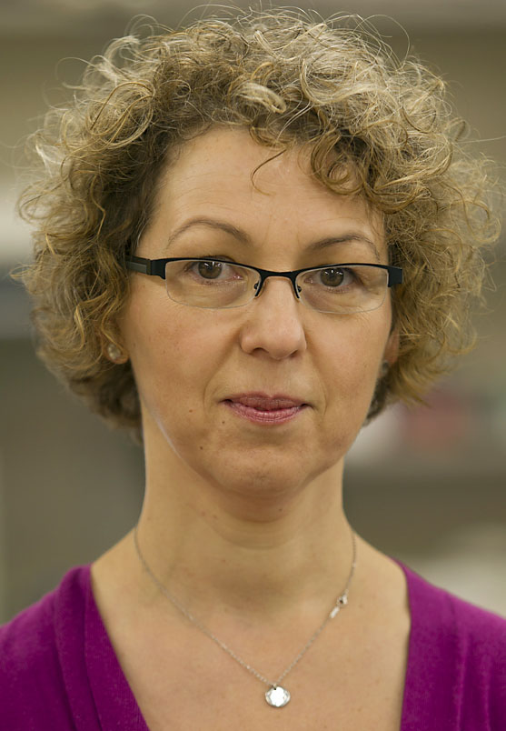 Elena Oancea: “As soon as you step out into the sun, your skin knows that it is exposed to UV radiation.”Credit: Mike Cohea/Brown University Elena Oancea: “As soon as you step out into the sun, your skin knows that it is exposed to UV radiation.”Credit: Mike Cohea/Brown University