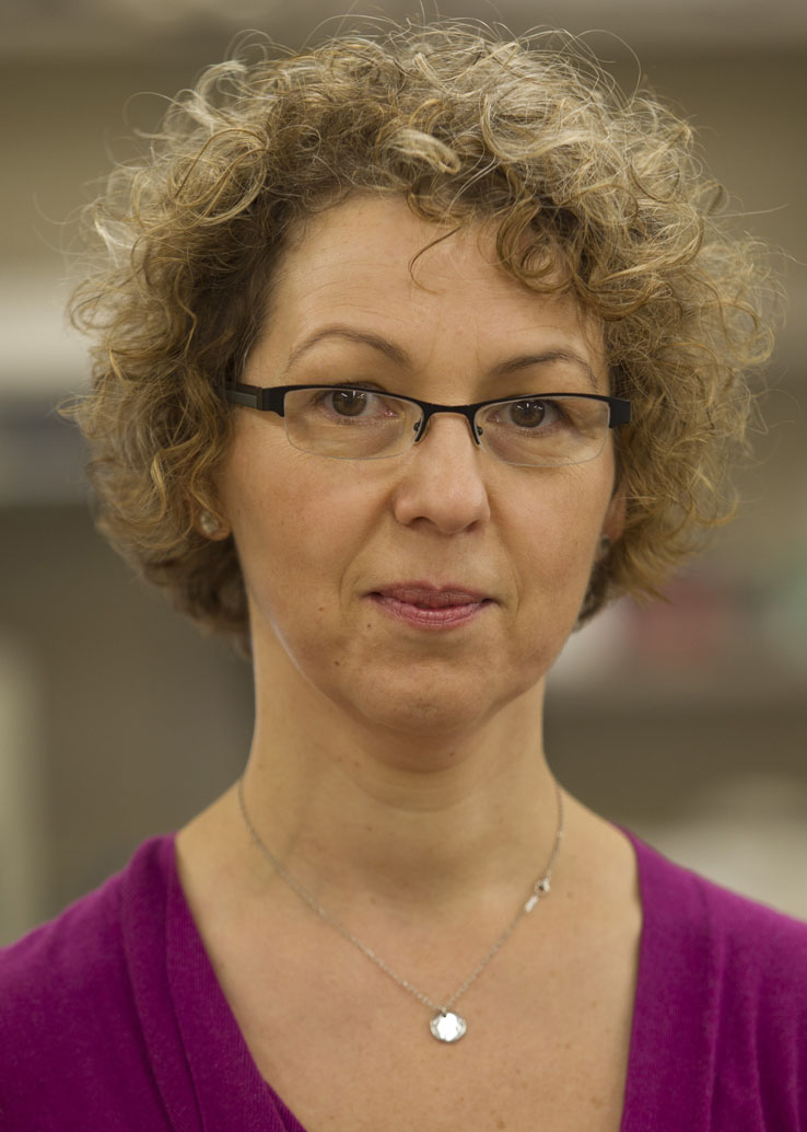 Elena Oancea: The discovery “is exciting because it confirms this phototransduction pathway is similar to those found in the eye.” Elena Oancea: The discovery “is exciting because it confirms this phototransduction pathway is similar to those found in the eye.”