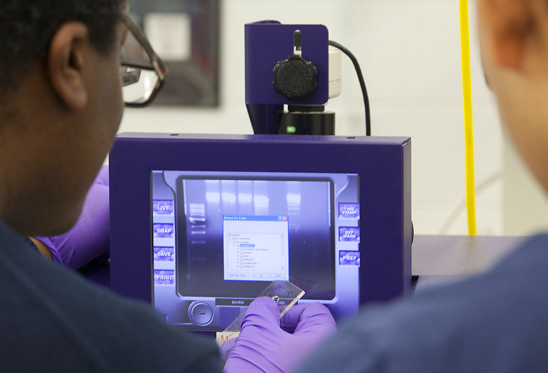 Hands-on is everything: Phage DNA fragments shine brightly in an instrument that checks the gel preparation with ultraviolet light. It’s not just about mastering information; it’s about getting information in the first place. Hands-on is everything: Phage DNA fragments shine brightly in an instrument that checks the gel preparation with ultraviolet light. It’s not just about mastering information; it’s about getting information in the first place.