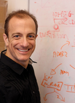 Robert Reenan: “We designed this molecular reporter to give us a fluorescent readout from living organisms.”