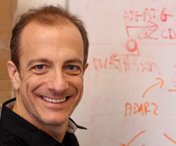 Robert Reenan: Experiments have created a fruit fly model of epilepsy to discern the mechanism by which temperature-dependent seizures happen. Robert Reenan: Experiments have created a fruit fly model of epilepsy to discern the mechanism by which temperature-dependent seizures happen.