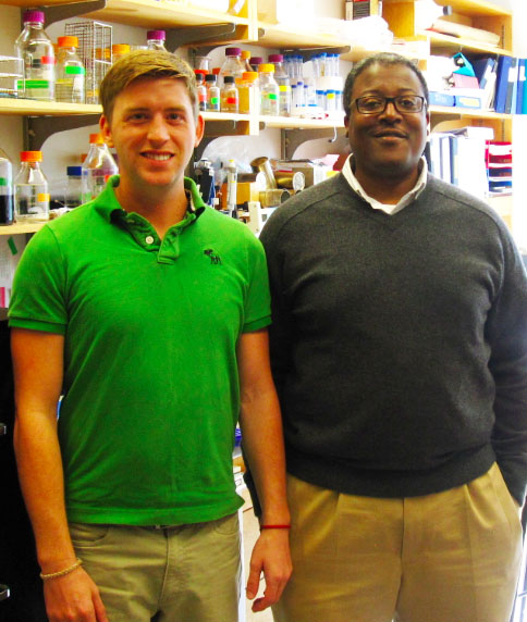 “Extremely gratifying results”: Graduate student Corey Compton, left, and Jason Sello synthesized 14 β-lactones. Four of them killed a close relative of the TB bacterium. β-lactone 7 was the most potent. “Extremely gratifying results”: Graduate student Corey Compton, left, and Jason Sello synthesized 14 β-lactones. Four of them killed a close relative of the TB bacterium. β-lactone 7 was the most potent.