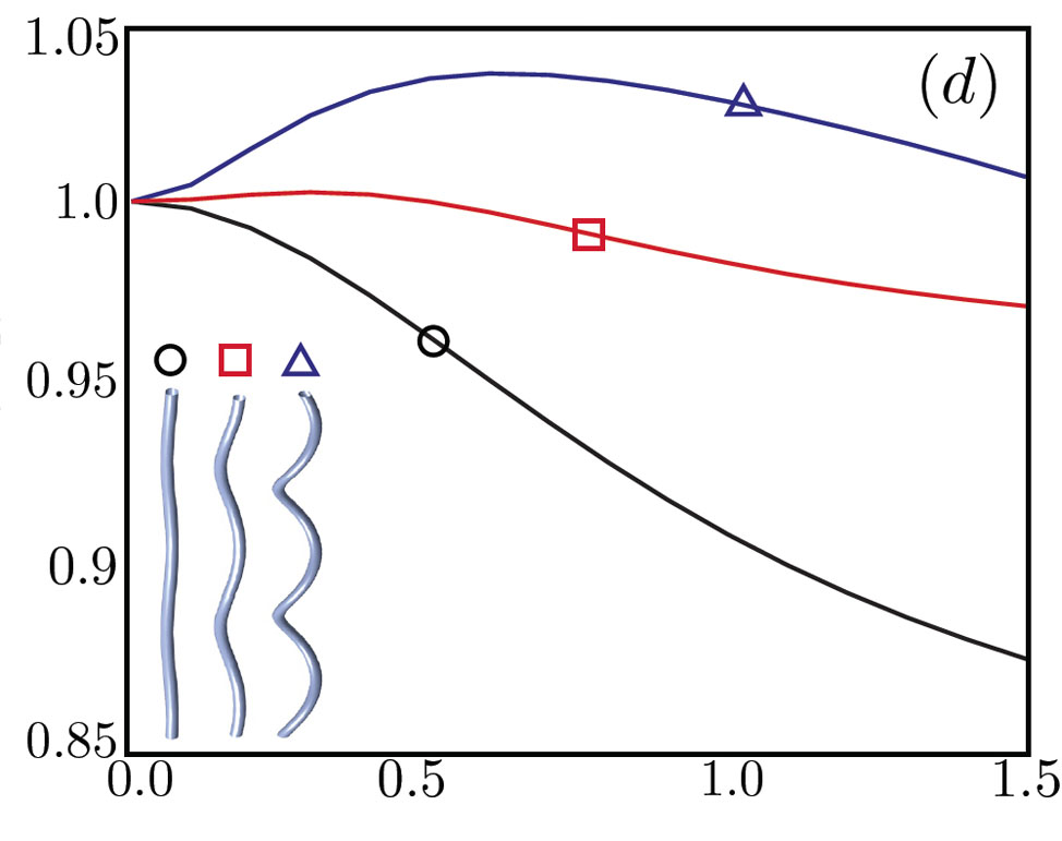 Powerful swimmers: a comparison: In the graph, the vertical axis is the ratio of speed in a viscoelastic fluid to speed in water. The horizontal axis is the degree of viscoelasticity. A flagellum with a high-angle helix, labeled with triangle, swims faster in a viscoelastic fluid than in water when the viscoelasticity is just right. As the helix angle decreases, the peak enhancement in speed decreases. For low-angle helices (circle), viscoelasticity always makes the swimmer slower than it would be in water. Credit: Powers lab/Brown University Powerful swimmers: a comparison: In the graph, the vertical axis is the ratio of speed in a viscoelastic fluid to speed in water. The horizontal axis is the degree of viscoelasticity. A flagellum with a high-angle helix, labeled with triangle, swims faster in a viscoelastic fluid than in water when the viscoelasticity is just right. As the helix angle decreases, the peak enhancement in speed decreases. For low-angle helices (circle), viscoelasticity always makes the swimmer slower than it would be in water. Credit: Powers lab/Brown University