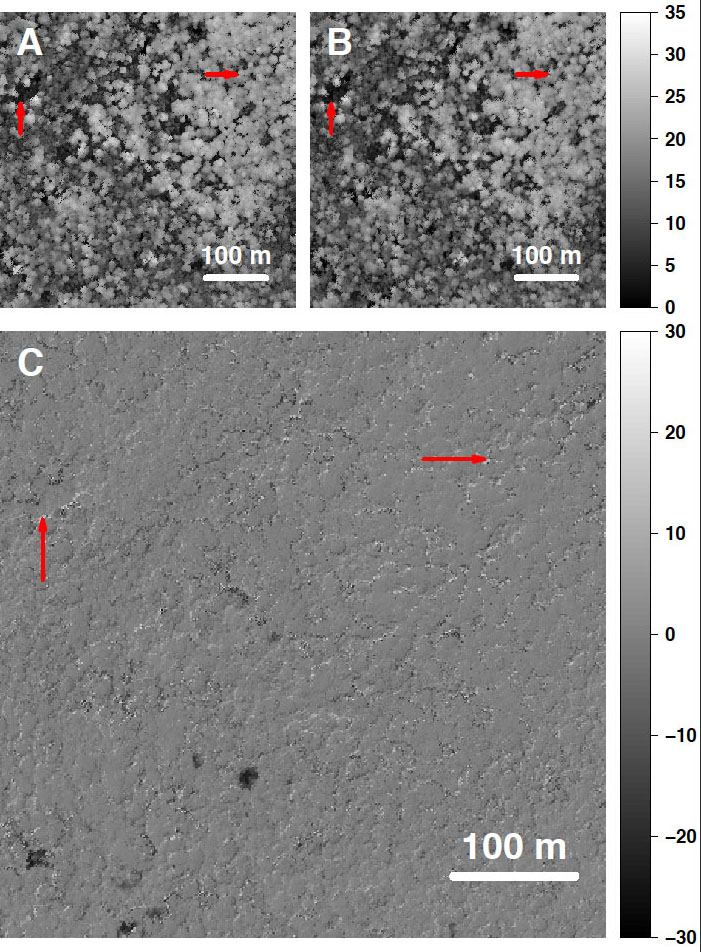 One pixel is worth a square meter: Aerial monitoring can chart the growth of the forest canopy over time. Knowing whether growth is vertical or horizontal helps estimate how much carbon is being stored in the forest. One pixel is worth a square meter: Aerial monitoring can chart the growth of the forest canopy over time. Knowing whether growth is vertical or horizontal helps estimate how much carbon is being stored in the forest.
