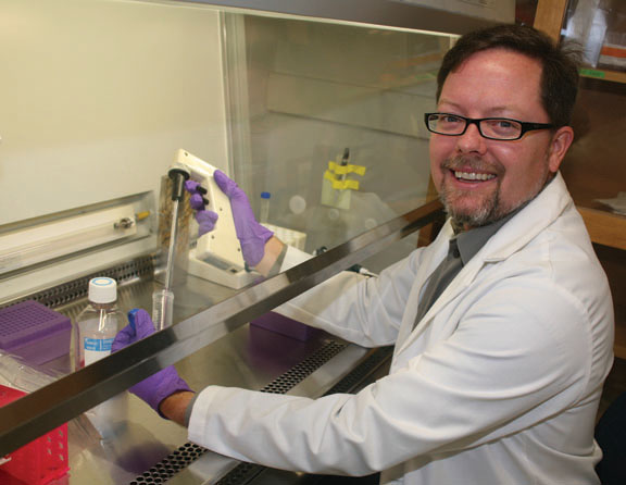 Thomas Webster: Associate Professor of Engineering and Orthopaedics Thomas Webster: Associate Professor of Engineering and Orthopaedics