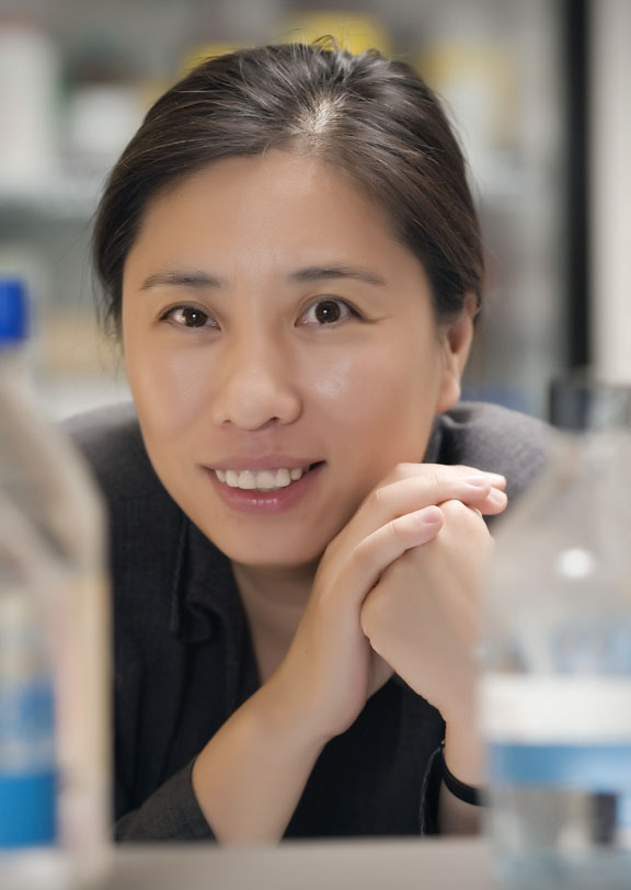 Haiyan Xu: Obesity and inflammation are both promoters of insulin resistance, but obesity seems to be the worse one. “Lower body weight is always a beneficial thing for influencing insulin sensitivity.” Haiyan Xu: Obesity and inflammation are both promoters of insulin resistance, but obesity seems to be the worse one. “Lower body weight is always a beneficial thing for influencing insulin sensitivity.”