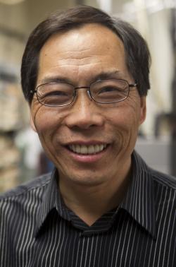 Lai-Sheng Wang: “We haven’t made borophene yet, but this work suggests that this structure is more than just a calculation.” Lai-Sheng Wang: “We haven’t made borophene yet, but this work suggests that this structure is more than just a calculation.”